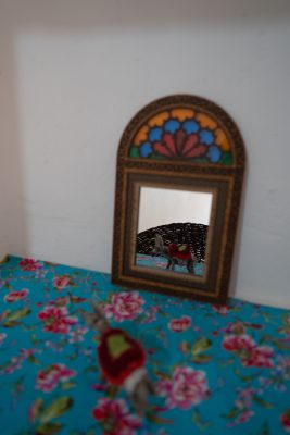 نمایی از اتاق نشیمن اتاق سرخ گل اقامتگاه اله بوم